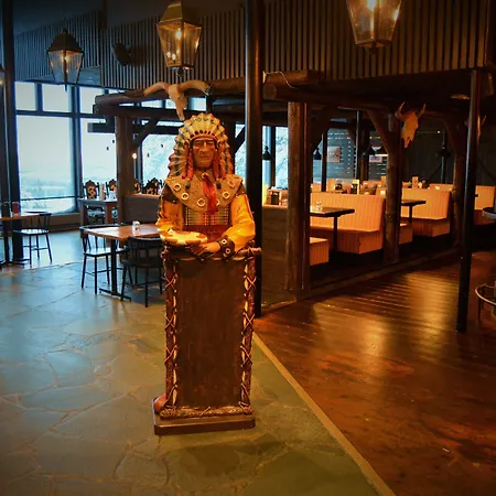 Hotel Ski-inn Pyhätunturi