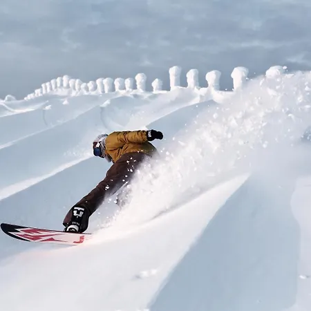 Ski-inn 3*