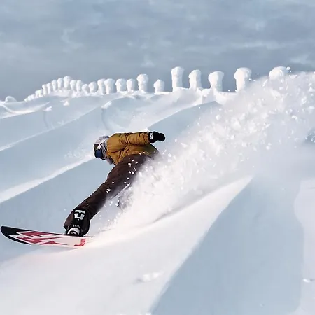 Hotel Ski-inn 3*