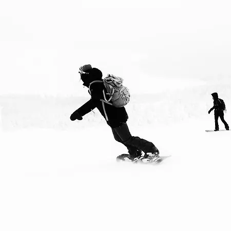 Hotel Ski-inn 3*